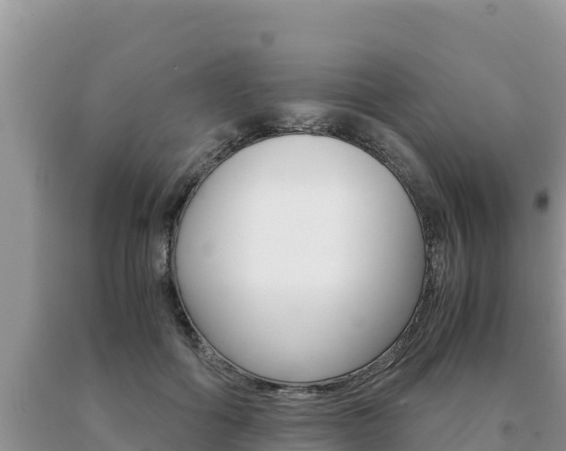 X0000091080602200708061047