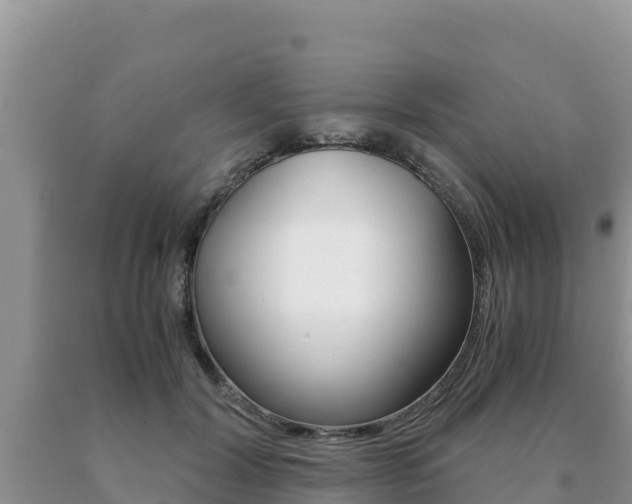 X0000091080604200708061047