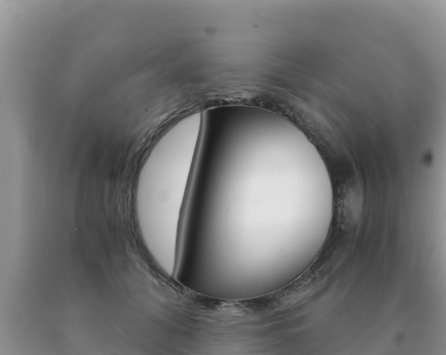 X0000091080608200708061047