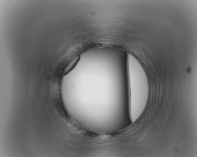 X0000091080609200708061047