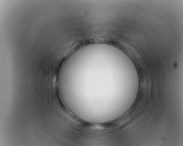 X0000091080610200708061047