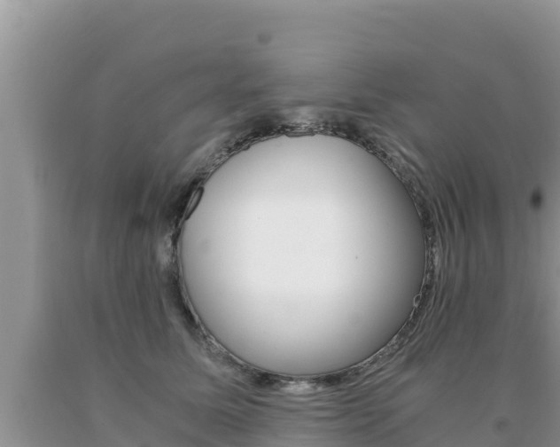 X0000091080611200708061047