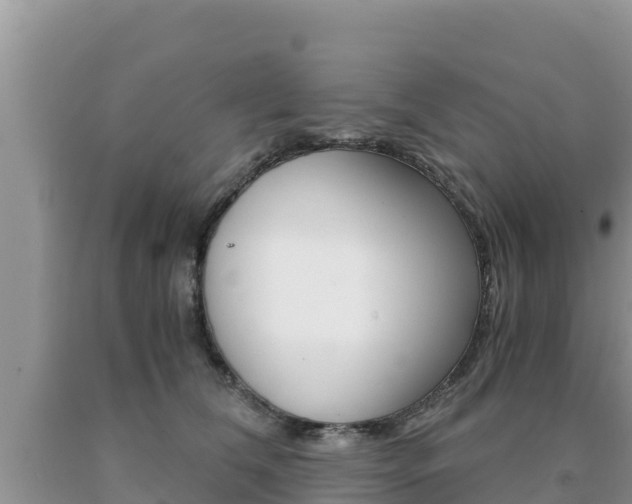 X0000091080612200708061047