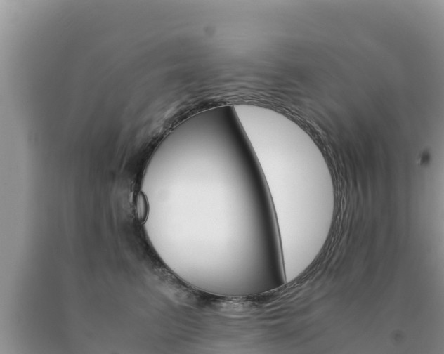 X0000091080615200708061047