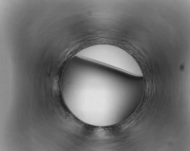 X0000091080616200708061047