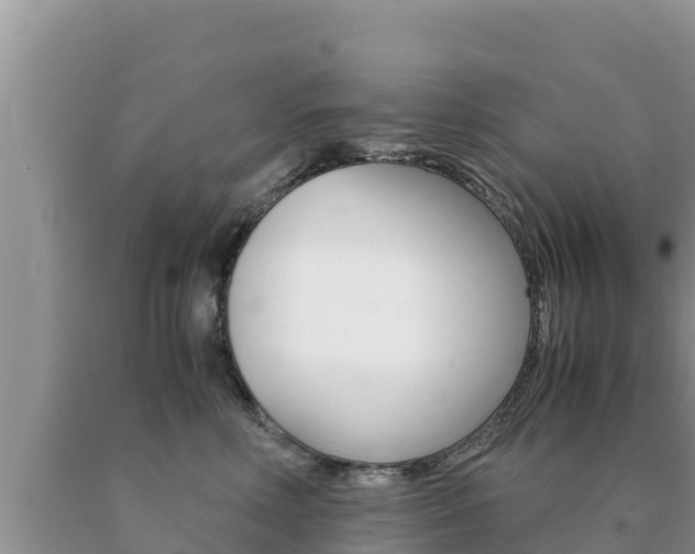 X0000091080618200708061047