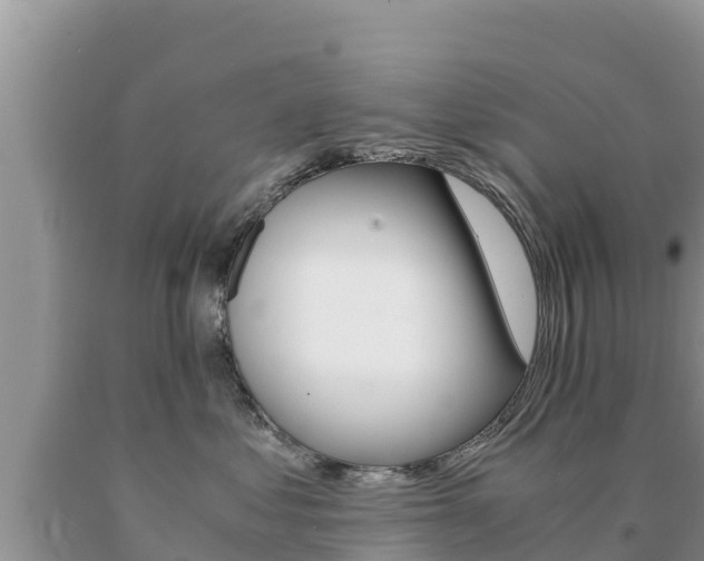 X0000091080621200708061047