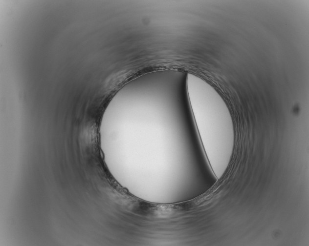 X0000091080623200708061047