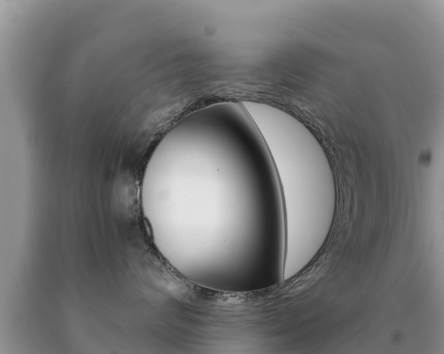 X0000091080624200708061047
