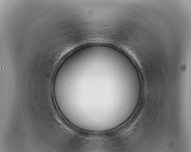 X0000091080625200708061046