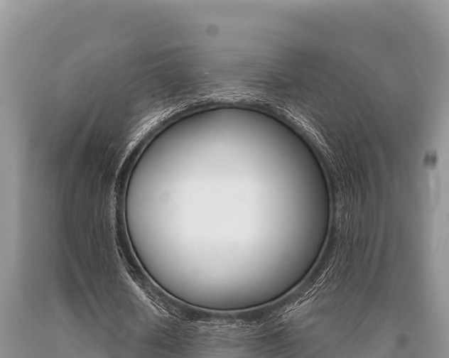 X0000091080626200708061046