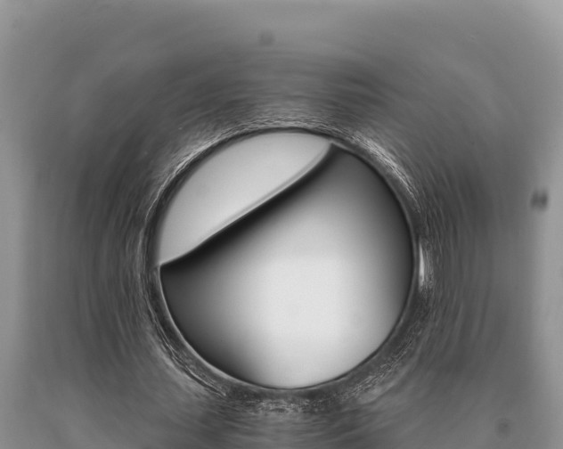 X0000091080627200708061046