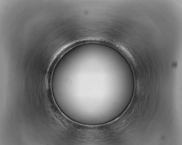 X0000091080628200708061046