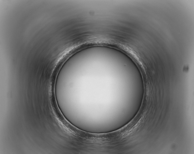 X0000091080629200708061046