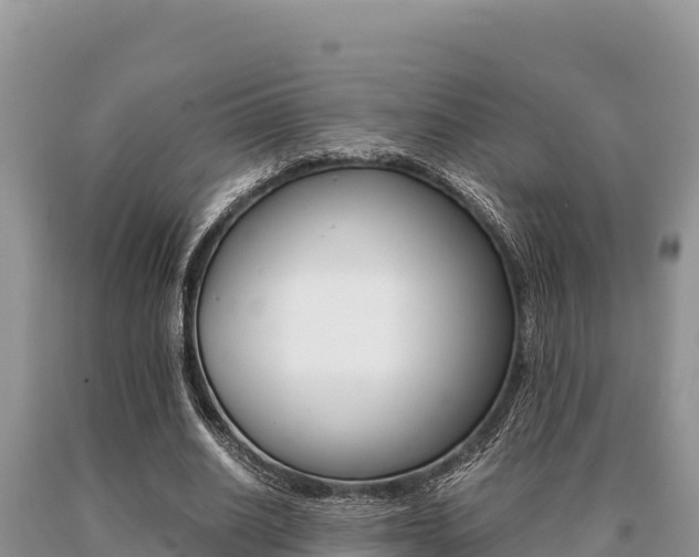 X0000091080630200708061046