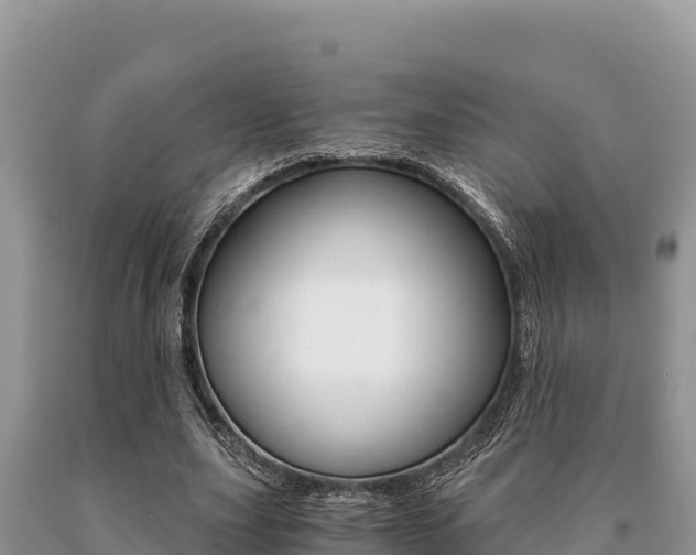 X0000091080631200708061046