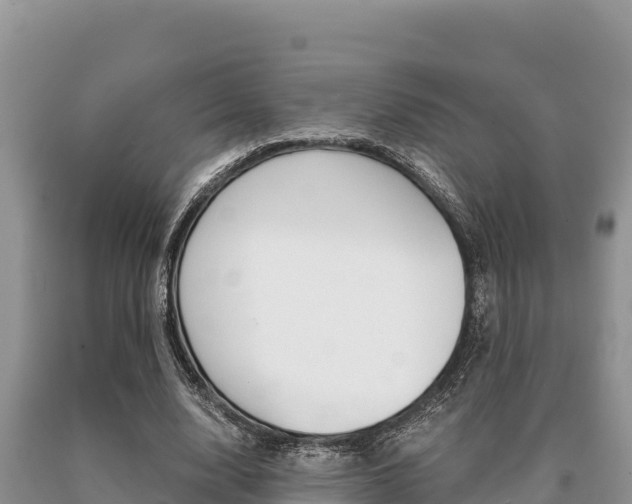 X0000091080632200708061046