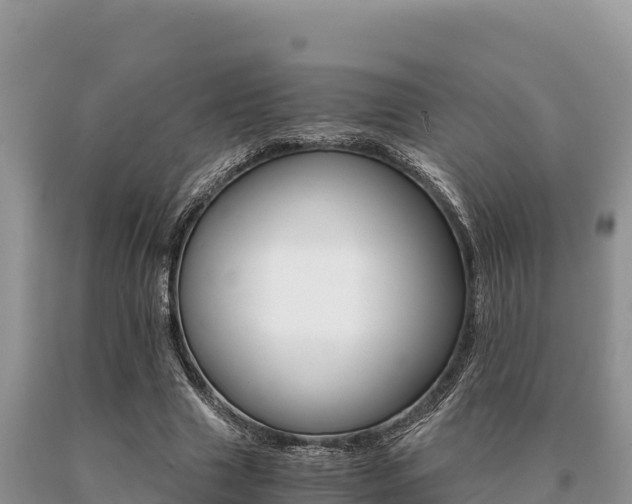 X0000091080633200708061046