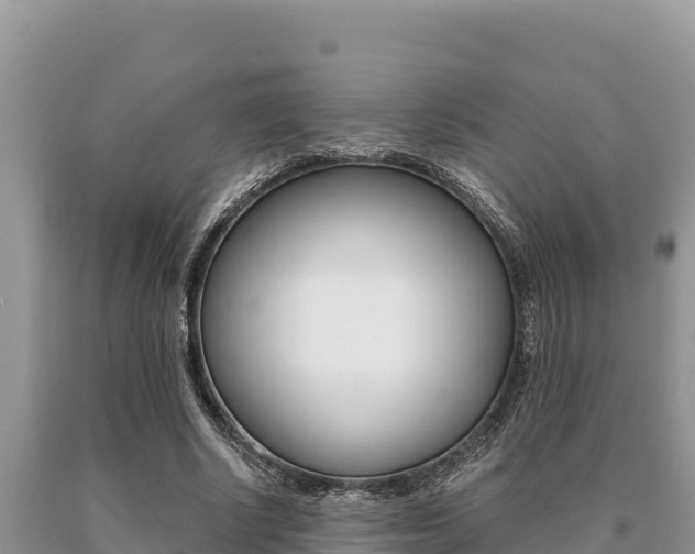 X0000091080634200708061046