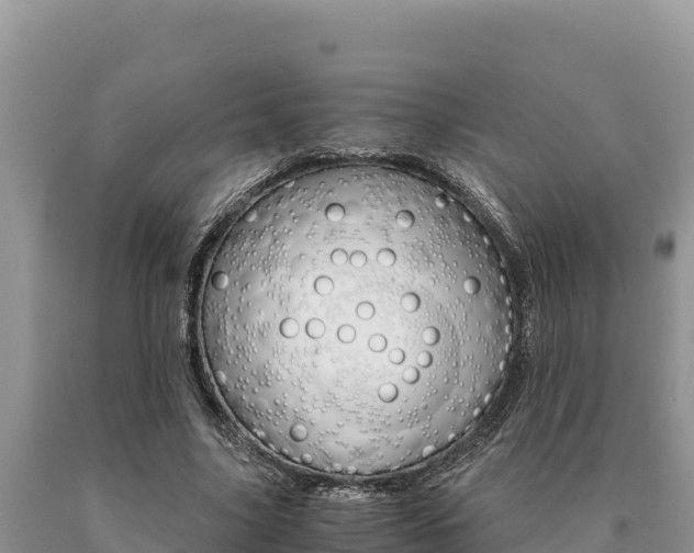 X0000091080635200708061046