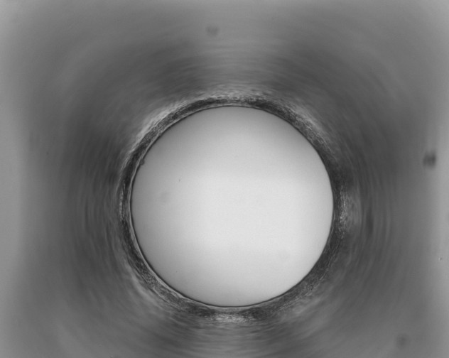 X0000091080636200708061046