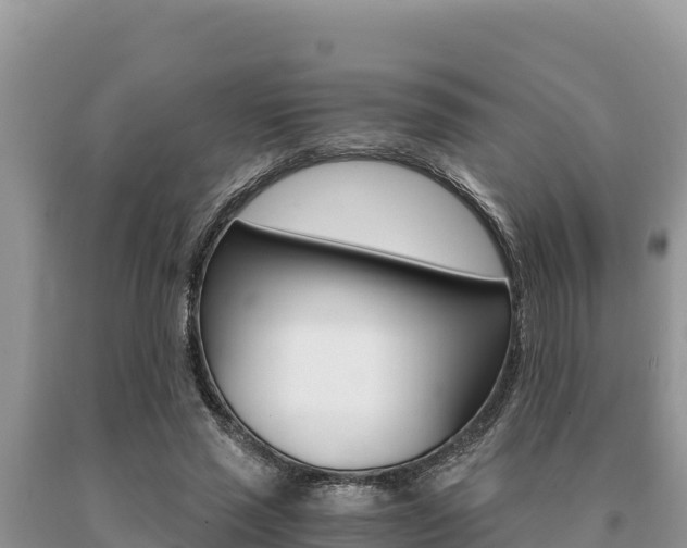 X0000091080637200708061046