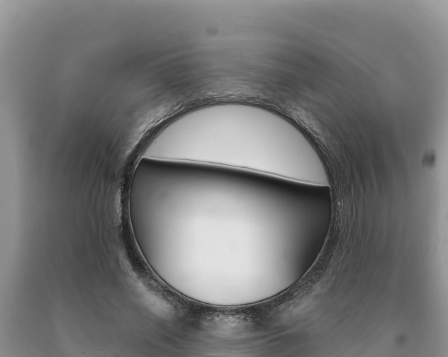 X0000091080638200708061046