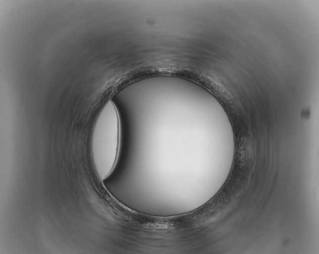 X0000091080639200708061046