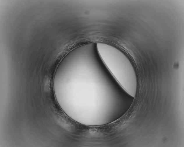 X0000091080641200708061046