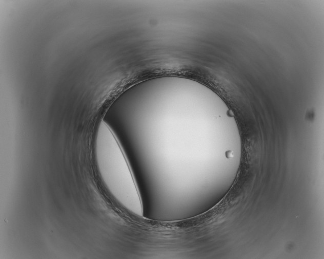 X0000091080642200708061046