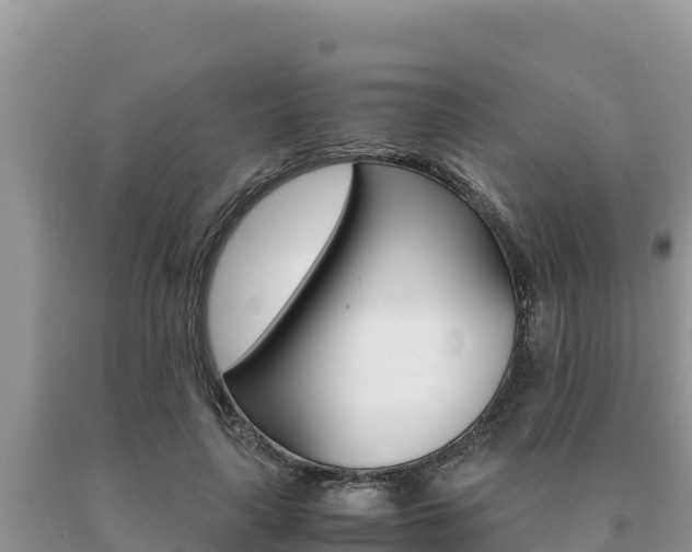 X0000091080643200708061046