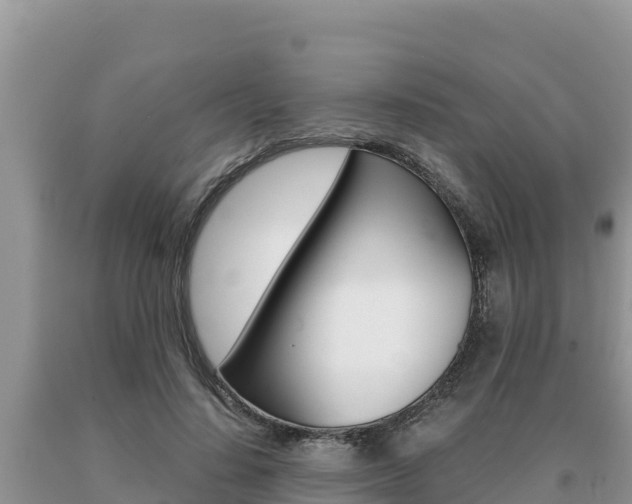 X0000091080644200708061046