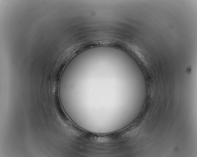 X0000091080645200708061046