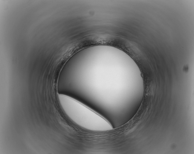 X0000091080646200708061046