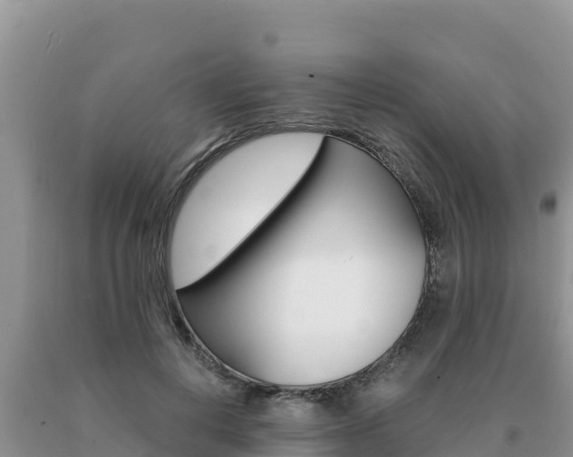 X0000091080648200708061046