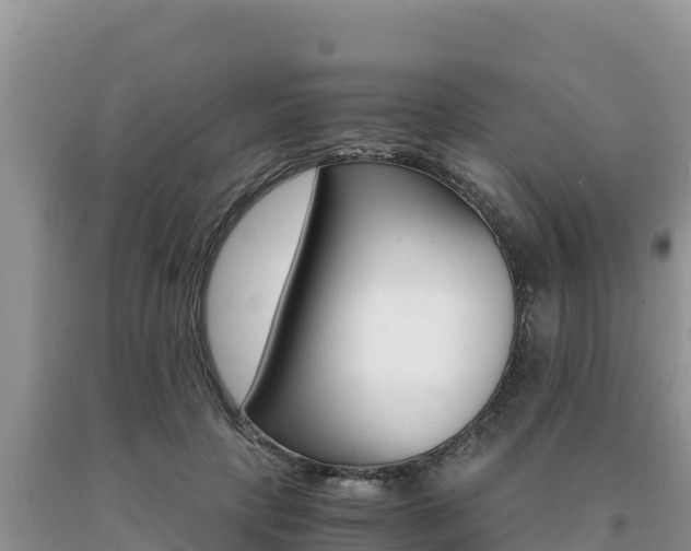 X0000091080649200708061046