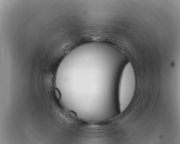 X0000091080650200708061046