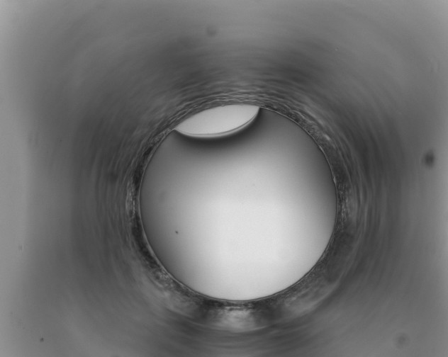 X0000091080651200708061046