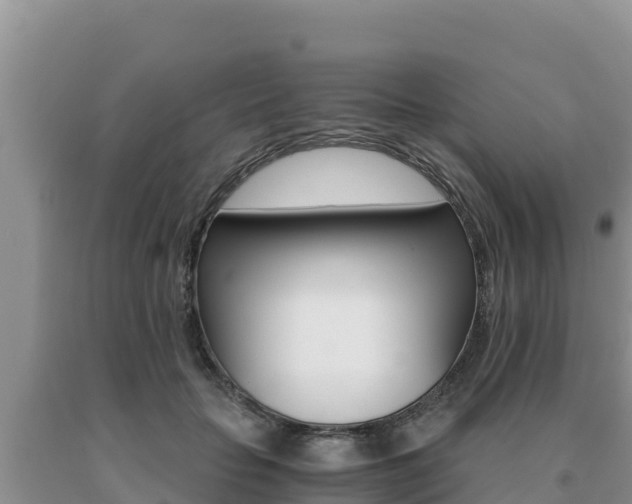 X0000091080653200708061046