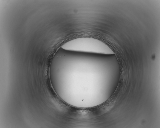 X0000091080654200708061046