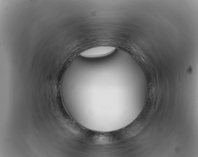 X0000091080655200708061046
