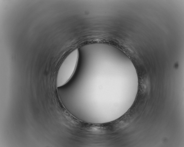 X0000091080657200708061046