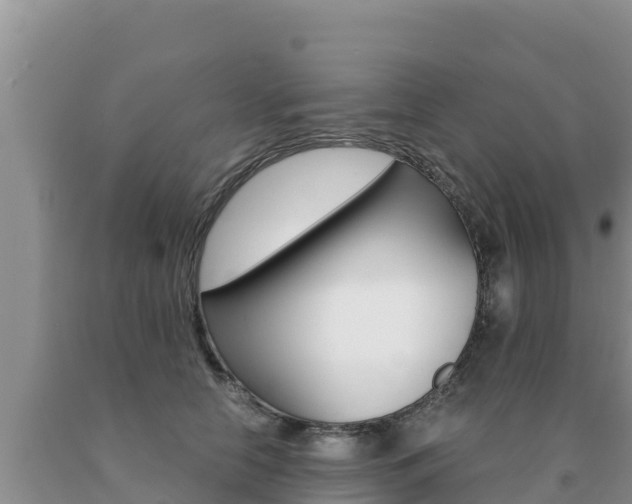 X0000091080658200708061046