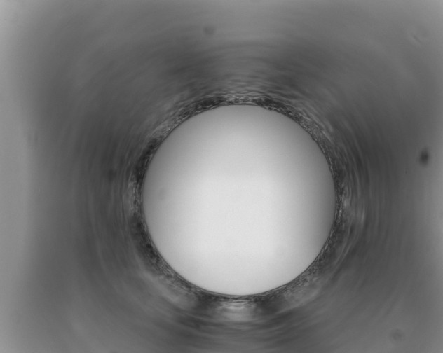 X0000091080659200708061046