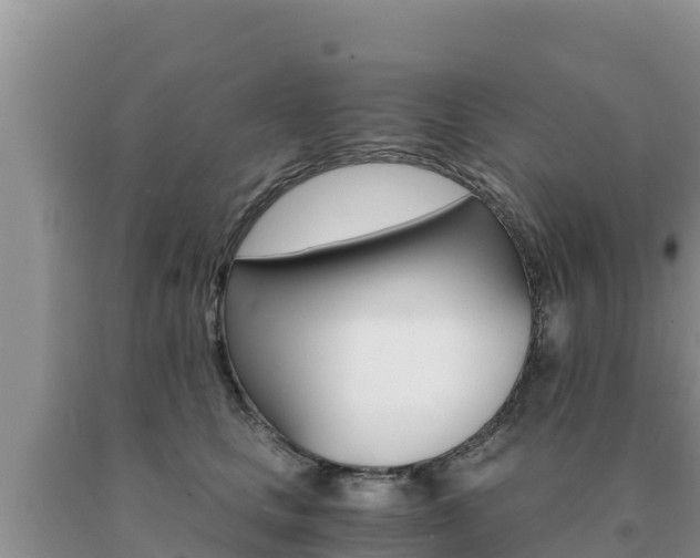 X0000091080661200708061046