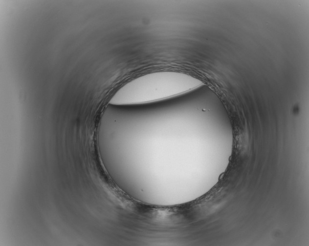 X0000091080662200708061046