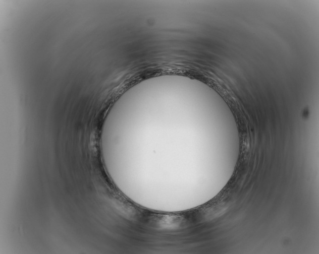 X0000091080663200708061046