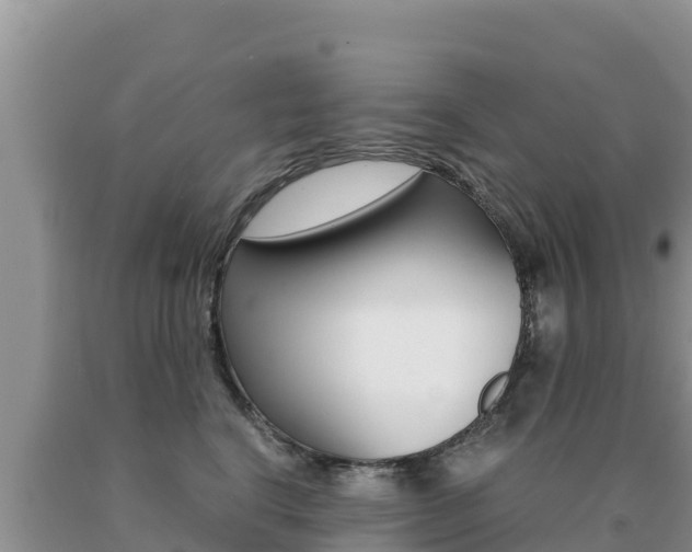 X0000091080664200708061046