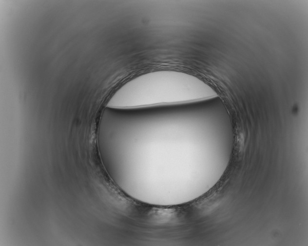 X0000091080665200708061047