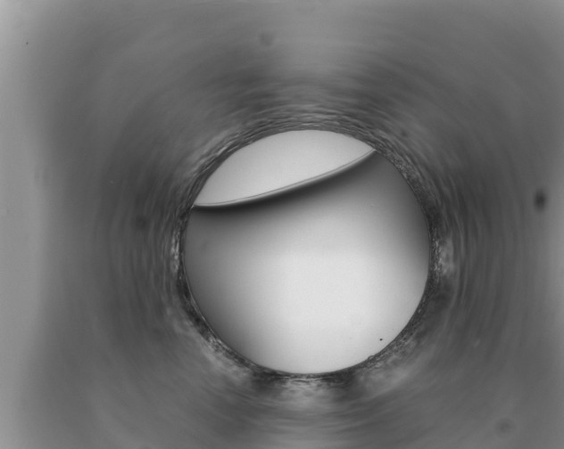 X0000091080666200708061047